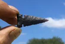 Finding Black Beauty - This is why we hunt.webp