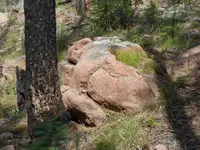 odd rock closeup Resized.webp