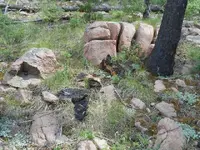 Odd rock wider view Resized.webp