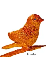 golded bird.webp
