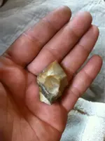 image-3719806349.webp