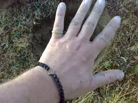 12082012783.webp