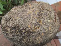 rocks 024.webp