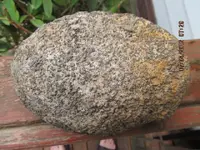 rocks 025.webp