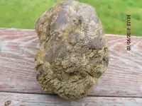 rocks 036.webp