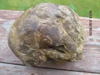 rocks 035.webp
