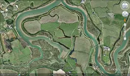 Close up.webp
