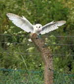 20120623_263.webp