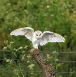 20120623_264.webp
