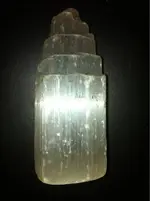 image-2958485884.webp