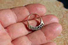 Closeups (3).webp