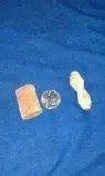fossils 6 12012.webp