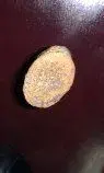 fossils 4 2 6 12012.webp