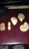 fossils 3 6 12012.webp