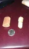 fossils 2 6 12012.webp