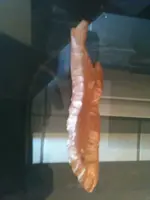 image-2884390607.webp