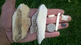 2012-08-07_12-05-00_90 (1280x722).webp