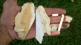 2012-08-07_12-04-16_568 (1280x722).webp
