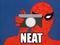 spidy neat.webp