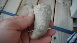 DSCF0150.webp