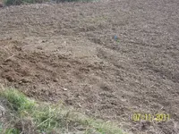 100_0577.webp