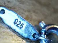 1206021829127928142.webp
