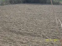 100_0579.webp