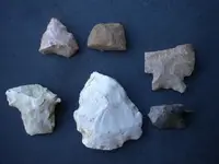 DSCN0958.webp