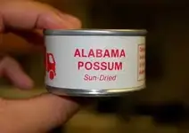possum.webp