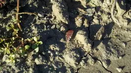 2012-08-16_19-05-30_3 (1280x722).webp