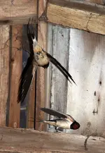 20120613_21.webp 20120613_21.webp