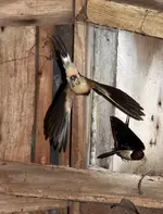20120613_22.webp 20120613_22.webp