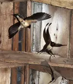 20120613_23.webp 20120613_23.webp