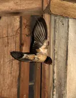 20120613_24.webp 20120613_24.webp
