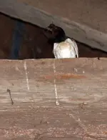 20120613_25.webp 20120613_25.webp