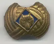 2061wolfcubscout.webp