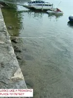 DSCF1612.webp