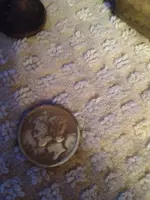 image-2985874310.webp