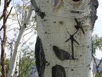 Polecreek2.webp