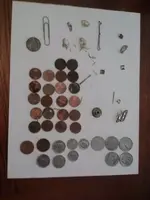compadre finds 6-26-12 .webp