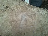 2 rock.webp