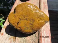jasper 004.webp