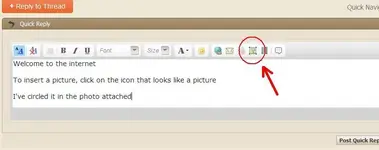 junk.webp