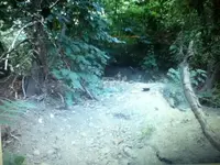 image-3075999656.webp