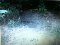 image-1307373105.webp