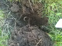 In The Hole 1.webp