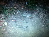 image-789846126.webp