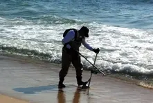 BeachShark.webp