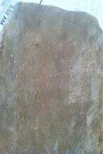 image-1877541824.webp