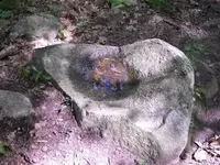 DSCN1290.webp